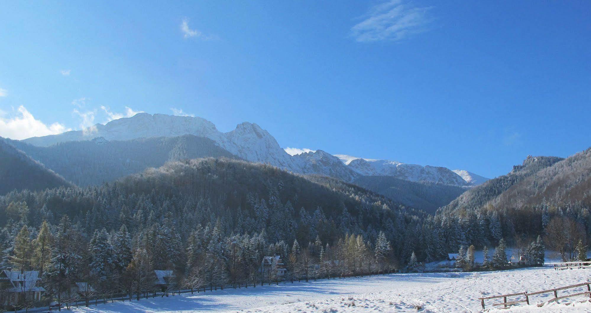 Aparthotel Dworek Bawarski Zakopane Exterior foto